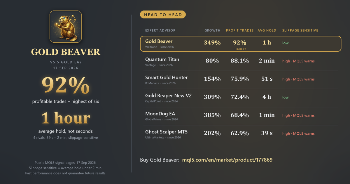 Gold Beaver MT5 — MQL5 لقطة شاشة 3